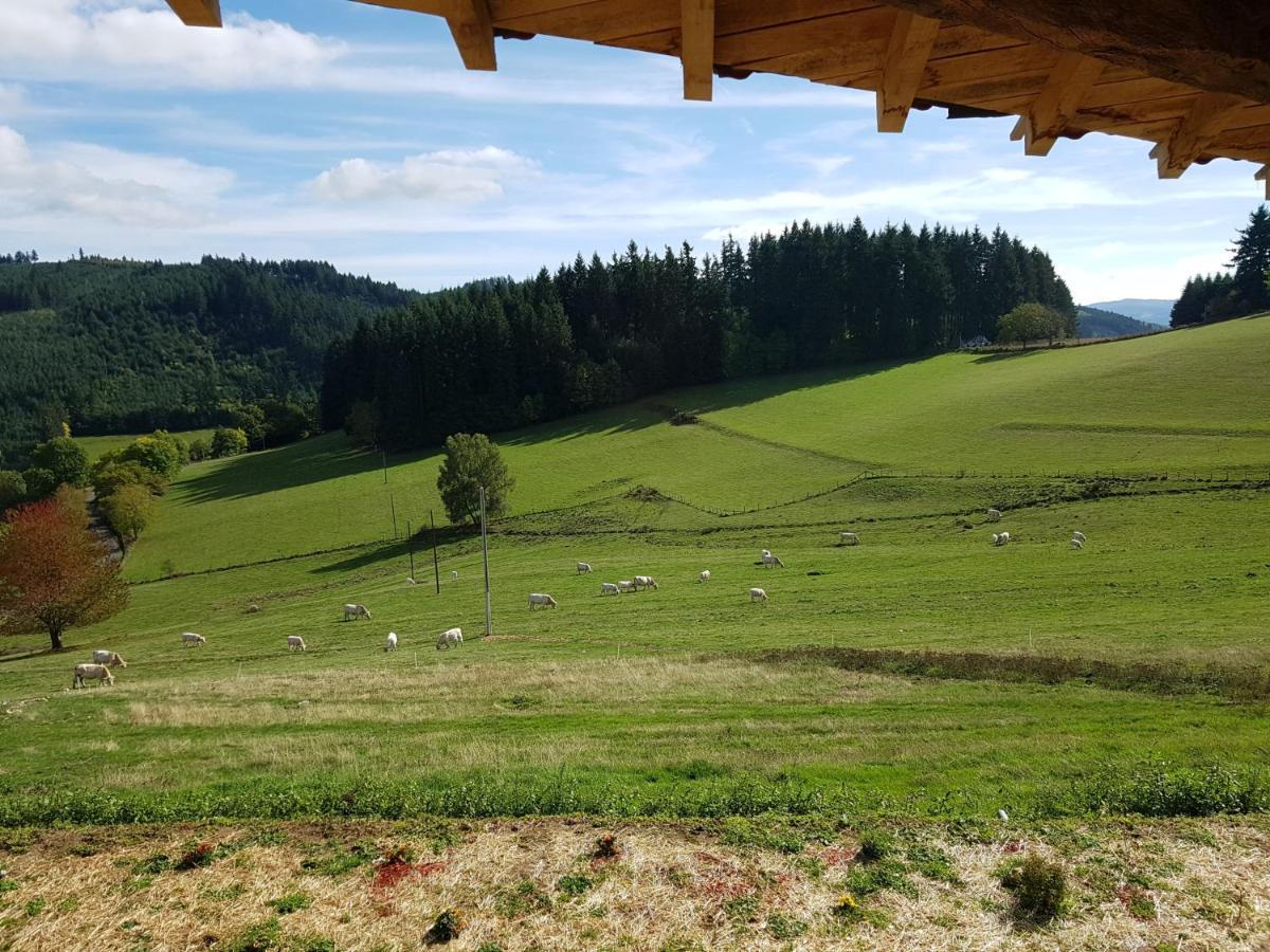 Le Domaine Des Terres Villa Saint-Appolinaire  Exteriör bild