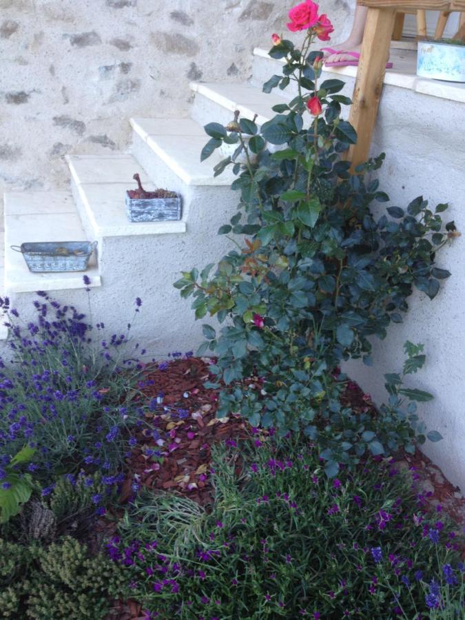 Le Domaine Des Terres Villa Saint-Appolinaire  Exteriör bild